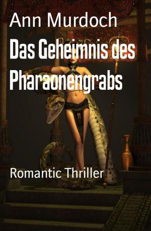 Cover of the book Das Geheimnis des Pharaonengrabs by Noah Daniels