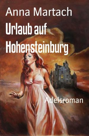 Cover of the book Urlaub auf Hohensteinburg by Silvia Götschi