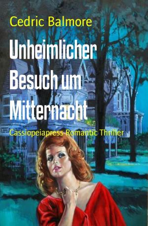 Cover of the book Unheimlicher Besuch um Mitternacht by Julie Steimle