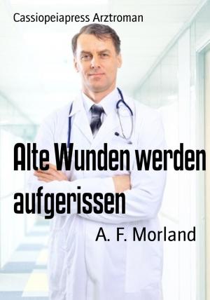 Cover of the book Alte Wunden werden aufgerissen by Wilfried A. Hary