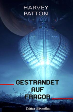 Cover of the book Gestrandet auf Fragor by Karthik Poovanam