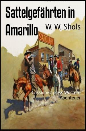 Cover of the book Sattelgefährten in Amarillo by Robert E. Howard