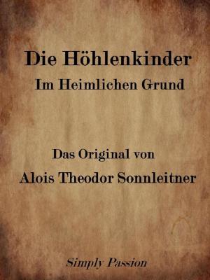 Book cover of Die Höhlenkinder Im Heimlichen Grund