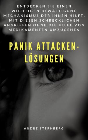 Book cover of Panik Attacken - Lösungen