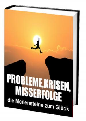 Book cover of Probleme, Krisen, Misserfolge - die Meilensteine zum Glück