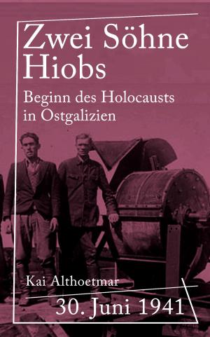 Cover of the book Zwei Söhne Hiobs by Mel Mae Schmidt