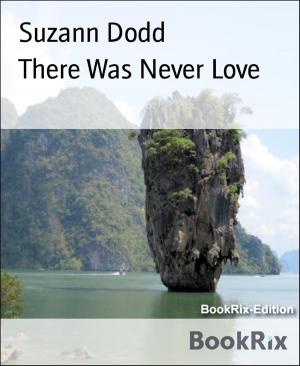 Cover of the book There Was Never Love by Sandra Eckervogt