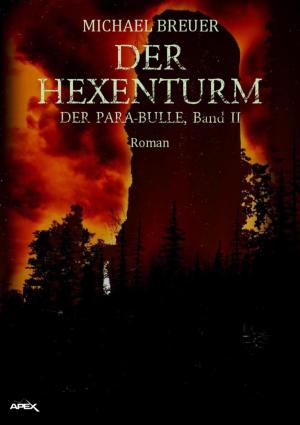 Cover of the book DER HEXENTURM by Anita Punyanitya