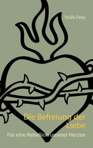 Cover of the book Die Befreiung der Liebe by Rolf  Friedrich Schuett