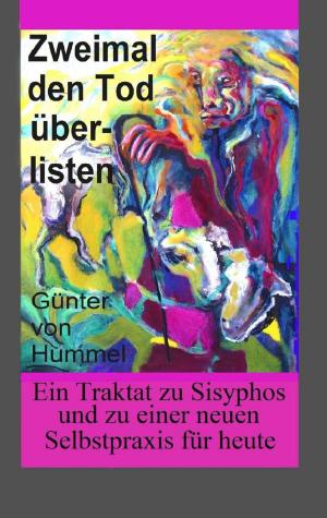 Cover of the book Zweimal den Tod überlisten by Doris Richter