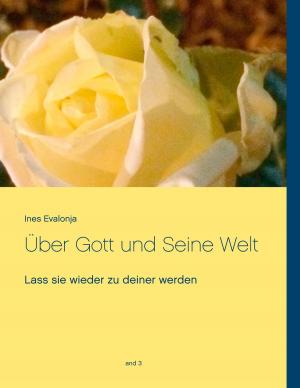 Book cover of Über Gott und Seine Welt 3