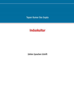 Cover of the book Induskultur by Sanjay Sauldie