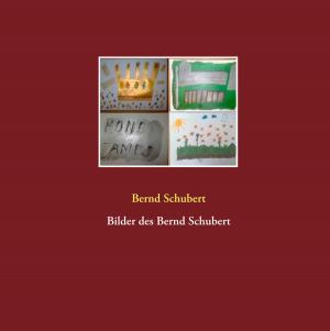 Cover of the book Bilder des Bernd Schubert by Barbara Wietasch