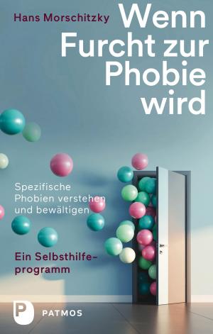 Book cover of Wenn Furcht zur Phobie wird