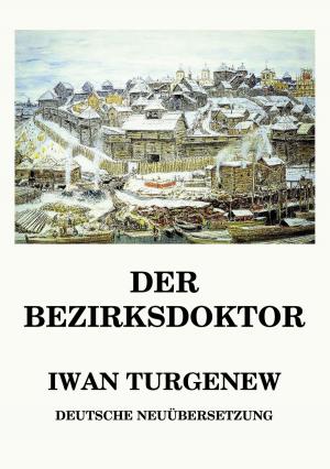 Cover of the book Der Bezirksdoktor by Achim von Arnim
