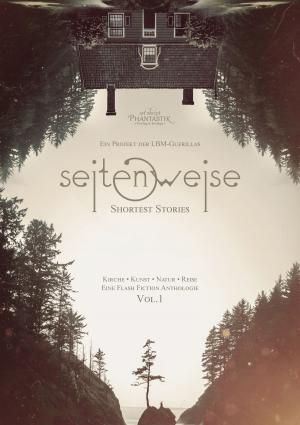 Cover of the book seitenweise by Katharina Fiona Bode