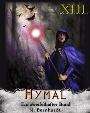 Book cover of Der Hexer von Hymal, Buch XIII: Ein zweifelhafter Bund
