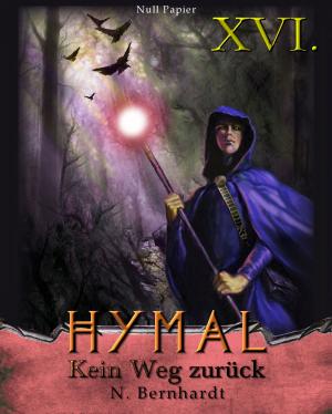 Book cover of Der Hexer von Hymal, Buch XVI: Kein Weg zurück