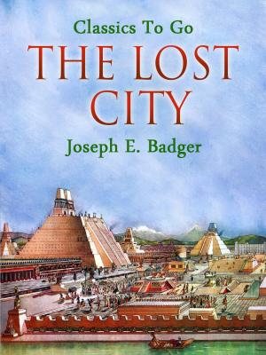 Cover of the book The Lost City by Edgar Rice Borroughs