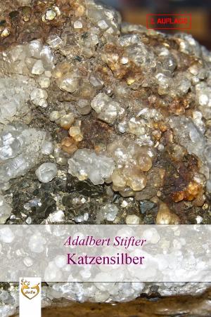 Cover of the book Katzensilber by Sandra Oelschläger