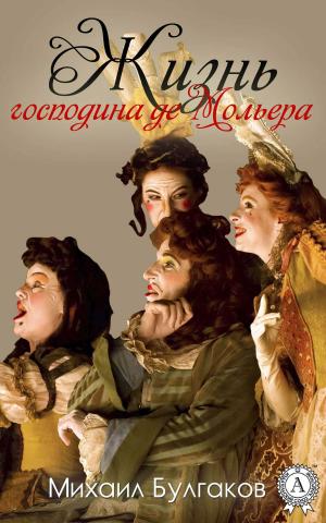 Cover of the book Жизнь господина де Мольера by Александра Демурчиду