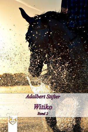 Book cover of Witiko