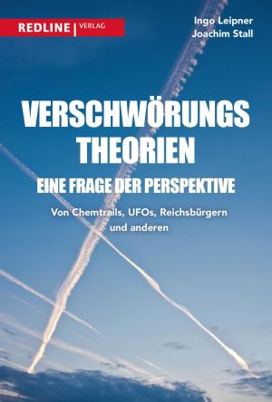 Cover of the book Verschwörungstheorien - eine Frage der Perspektive by Edgar K. Geffroy, Benjamin Schulz