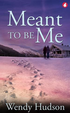 Cover of the book Meant to Be Me by Chris Zett
