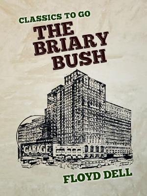 Cover of the book The Briary Bush by Joyce Kilmer