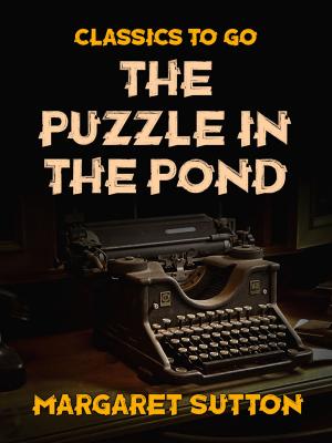 Book cover of The Puzzle in the Pond