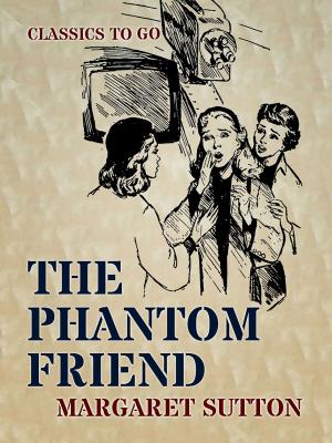 Book cover of The Phantom Friend