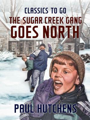 Book cover of The Sugar Creek Gang Goes North