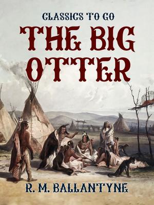 Book cover of The Big Otter