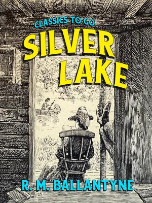 Cover of the book Silver Lake by J. S. Fletcher