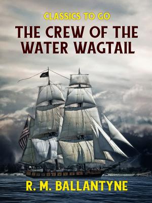 Cover of the book The Crew of the Water Wagtail by Brian D. Beckstead