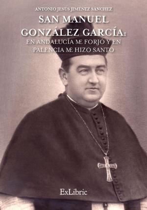 Cover of the book San Manuel González García by Álvaro  González de Aledo Linos, Javier  Brizuela Marcos