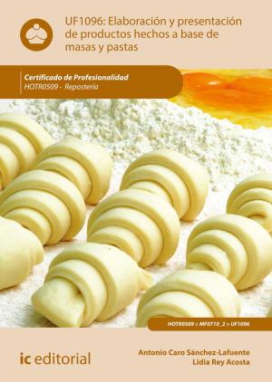 bigCover of the book Elaboración y presentación de productos hechos a base de masas y pastas. HOTR0509 by 