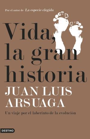 Book cover of Vida, la gran historia