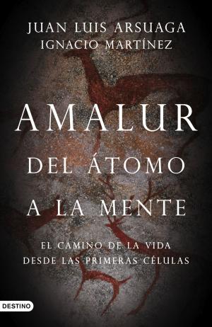 Cover of the book Amalur by Álex Rovira Celma