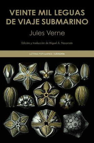Cover of the book Veinte mil leguas de viaje submarino by Antonio Sánchez Jiménez