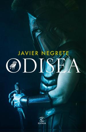 Cover of the book Odisea by Shirin Klaus