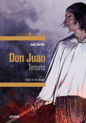 Cover of the book Don Juan Tenorio by David Blanco Laserna