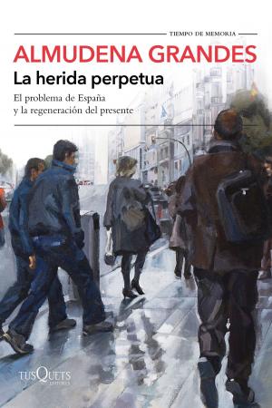 Cover of the book La herida perpetua by Mamen Sánchez