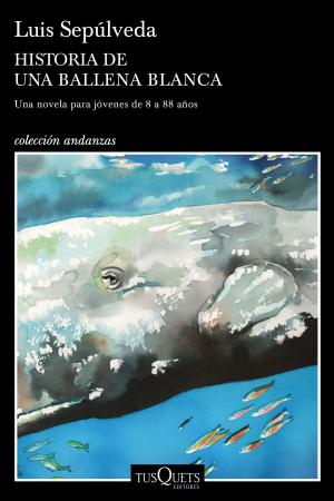 Cover of the book Historia de una ballena blanca by Geronimo Stilton