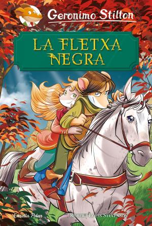 Book cover of La Fletxa Negra