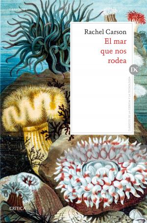 Cover of the book El mar que nos rodea by José María Gay de Liébana