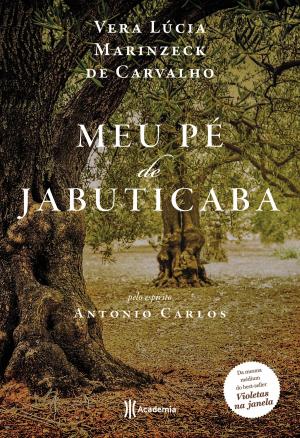 Cover of the book Meu pé de jabuticaba by Joshua Cook