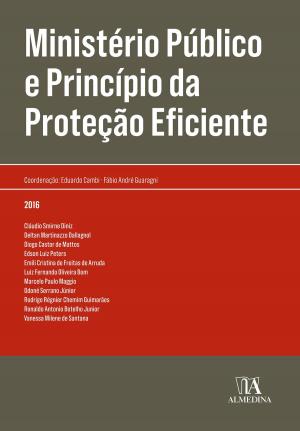 Cover of the book Ministério Público e Princípio da Proteção Eficiente by Ana Perestrelo de Oliveira