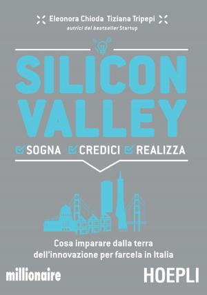 Book cover of Silicon Valley