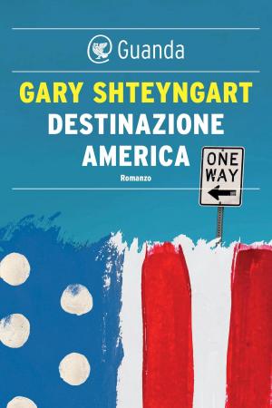 Book cover of Destinazione America